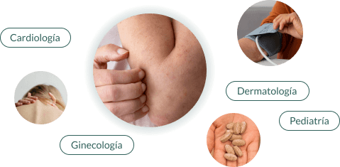 Profesionales del directorio: cardiología, dermatología, pediatría y ginecología